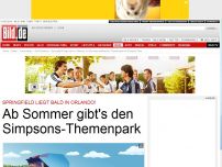 Bild zum Artikel: Simpsons-Park - Springfield wird in Florida 1:1 nachgebaut