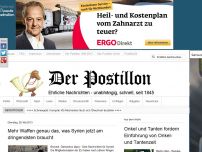 Bild zum Artikel: Mehr Waffen genau das, was Syrien jetzt am dringendsten braucht
