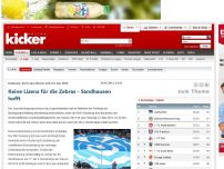 Bild zum Artikel: Keine Lizenz für die Zebras - Sandhausen hofft