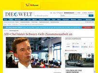 Bild zum Artikel: Bundestagswahl: AfD-Chef bietet Schwarz-Gelb Zusammenarbeit an
