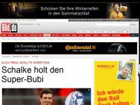 Bild zum Artikel: Leon Goretzka - Schalke schnappt Real Super-Bubi weg
