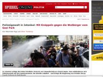 Bild zum Artikel: Polizeigewalt in Istanbul: Mit Knüppeln gegen die Wutbürger vom Gezi Park