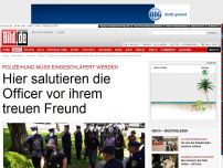 Bild zum Artikel: Polizeihund tot - Hier salutieren Officer vor ihrem treuen Freund