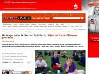 Bild zum Artikel: Umfrage unter britischen Schülern: 'Käse wird aus Pflanzen gemacht'