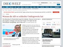 Bild zum Artikel: Parteien: Warum die AfD so schlechte Umfragewerte hat