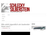 Bild zum Artikel: Wie sieht eigentlich ein badender Hase aus?