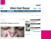 Bild zum Artikel: Mysteriöser Gestank in Köln - Ursachensuche auf der Schäl Sick