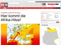 Bild zum Artikel: Temperaturen bis 38 Grad - Hier kommt die Afrika-Hitze!