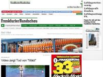 Bild zum Artikel: 'Mädi' - Elefanten-Tod beschäftigt den Landtag