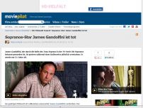Bild zum Artikel: Sopranos-Star James Gandolfini ist tot
