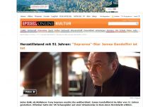 Bild zum Artikel: Herzstillstand mit 51 Jahren: 'Sopranos'-Star James Gandolfini ist tot