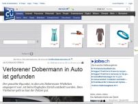 Bild zum Artikel: Am Flughafen Zürich: Verlorener Dobermann in Auto ist gefunden