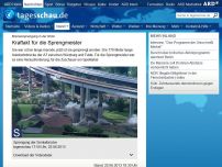 Bild zum Artikel: 770 Meter lange Autobahnbrücke in der Rhön gesprengt