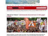 Bild zum Artikel: 'Überall ist Taksim': Zehntausende demonstrieren in Köln gegen Erdogan