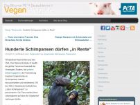 Bild zum Artikel: Hunderte Schimpansen dürfen „in Rente“