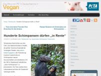 Bild zum Artikel: Hunderte Schimpansen dürfen „in Rente“