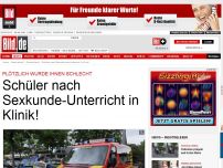 Bild zum Artikel: Schwindel! Atemnot! - Schüler nach Sexkunde- Unterricht in Klinik