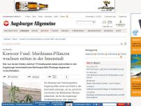 Bild zum Artikel: Augsburg: Kurioser Fund: Marihuana-Pflanzen wuchsen mitten in der Innenstadt