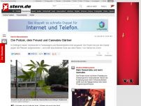 Bild zum Artikel: Hanf in Blumenbeeten: Die Polizei, dein Freund und Cannabis-Gärtner