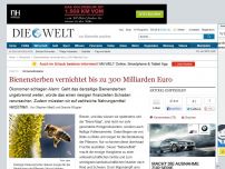 Bild zum Artikel: Wirtschaftsfaktor: Bienensterben vernichtet bis zu 300 Milliarden Euro