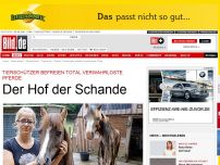 Bild zum Artikel: Der Hof der Schande - Tierschützer befreien verwahrloste Pferde