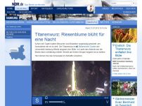 Bild zum Artikel: Live bei NDR.de: Warten auf Titanenwurz-Blüte