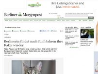 Bild zum Artikel: Happy End: Berlinerin findet nach fünf Jahren ihre Katze wieder