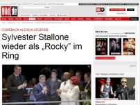 Bild zum Artikel: Comeback der Legende - Sly wird wieder zu „Rocky”!