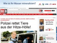 Bild zum Artikel: Bei 40 Grad eingesperrt - Polizei rettet Tiere aus der Hitze-Hölle!