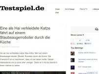 Bild zum Artikel: Eine als Hai verkleidete Katze fährt auf einem Staubsaugerroboter durch die Küche