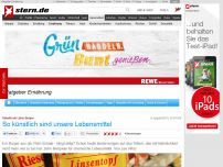 Bild zum Artikel: Debatte um Labor-Burger: So künstlich sind unsere Lebensmittel