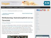 Bild zum Artikel: Weltkatzentag: Kastrationspflicht ist nun Tierschutz