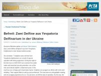 Bild zum Artikel: Befreit: Zwei Delfine aus Yevpatoria Delfinarium in der Ukraine