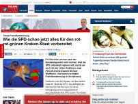 Bild zum Artikel: Totale Fremdbestimmung - Wie die SPD schon jetzt alles für den rot-rot-grünen Kraken-Staat vorbereitet
