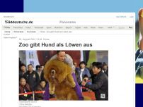Bild zum Artikel: China: Zoo gibt Hund als Löwen aus