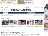 Bild zum Artikel: Jäger stolpert über junge Wölfe