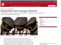 Bild zum Artikel: Polizist in Halle zeigte Hitlergruß: Suspendiert nach wenigen Stunden