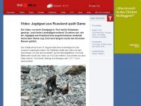 Bild zum Artikel: Schockierendes Jagdvideo aufgetaucht