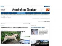 Bild zum Artikel: Romberg - Jäger erschießt Hund in Leverkusen