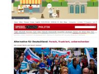 Bild zum Artikel: Alternative für Deutschland: Forsch, frustriert, unberechenbar