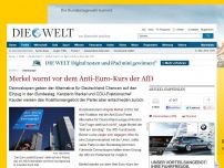 Bild zum Artikel: Wahlkampf: Merkel warnt vor dem Anti-Euro-Kurs der AfD