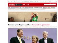 Bild zum Artikel: Schwarz-gelbe Regierungsbilanz: Versprochen, gebrochen!