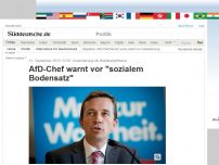 Bild zum Artikel: Zuwanderung als Wahlkampfthema: AfD-Chef warnt vor 'sozialem Bodensatz'