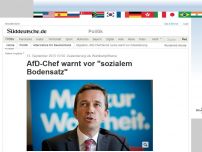 Bild zum Artikel: Zuwanderung als Wahlkampfthema: AfD-Chef warnt vor 'sozialem Bodensatz'