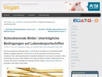 Bild zum Artikel: Schockierende Bilder: Unerträgliche Bedingungen auf Lebendexportschiffen