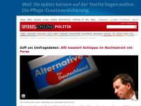 Bild zum Artikel: Zoff um Umfragdaten: AfD kassiert Schlappe im Rechtsstreit mit Forsa