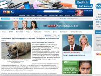 Bild zum Artikel: Verfassungsgericht entscheidet Rumänien darf Straßenhunde töten