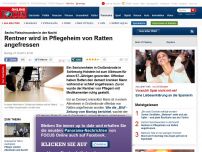 Bild zum Artikel: Sechs Fleischwunden in der Nacht - Rentner wird in Pflegeheim von Ratten angefressen