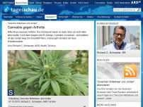 Bild zum Artikel: Videoblog: Cannabis gegen Arthritis