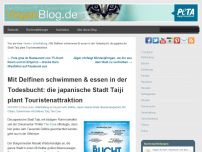 Bild zum Artikel: Mit Delfinen schwimmen & essen in der Todesbucht: die japanische Stadt Taiji plant Touristenattraktion